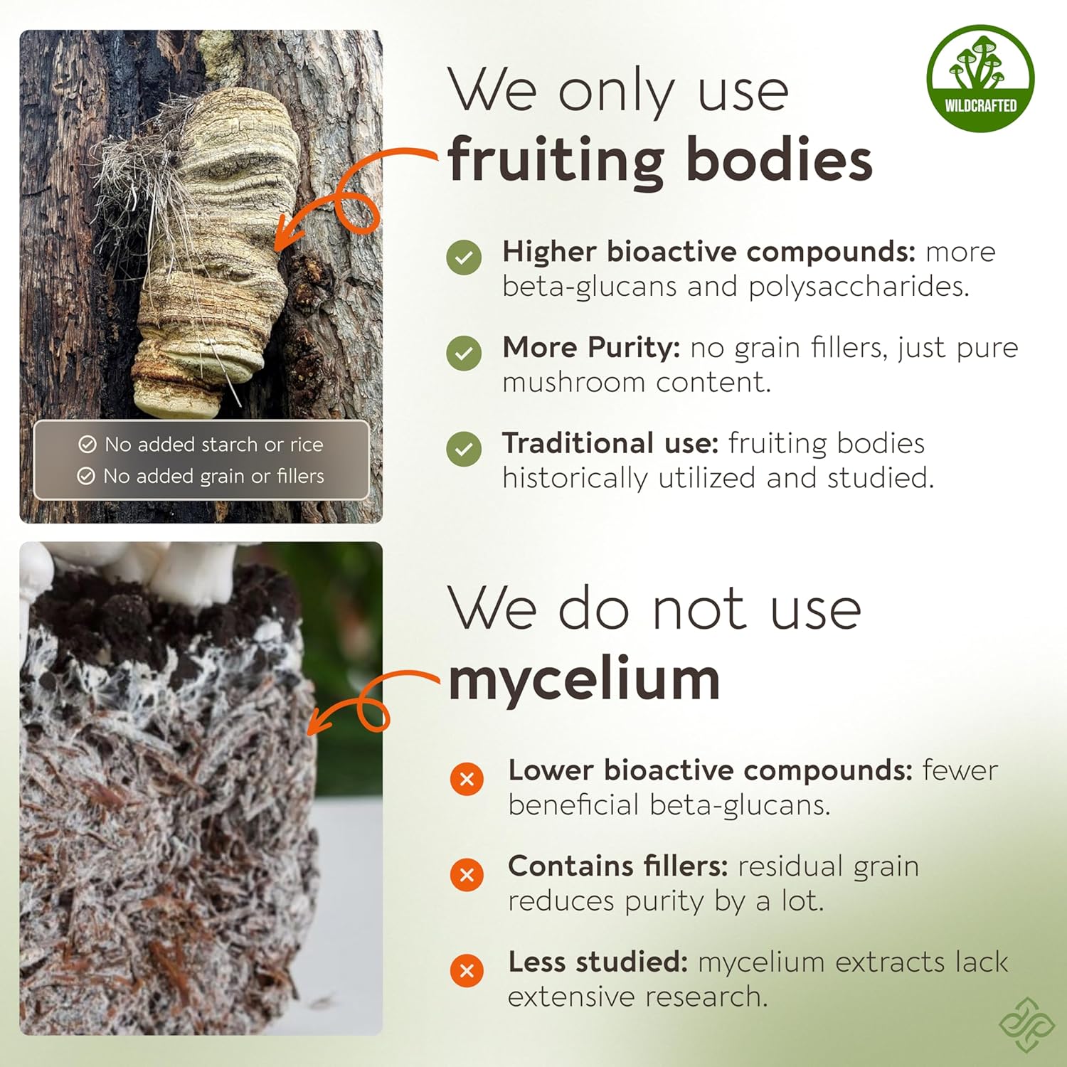 Agarikon Mushroom Powder Supplement 100g | Pure Fruiting Body 10:1 High Strength Extract | 30% Beta-D Glucans | 16,600mg Raw Equivalent Per Serving | Immune, Respiratory & Antioxidant Support - Image 3