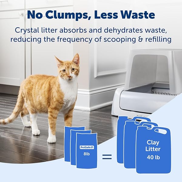 ScoopFree Premium Lavender Scent Crystal Litter, Superior Odor Control, Absorbs 5X Faster, Low Tracking for Less Mess, Lasts up to 2 Months, Lightly Scented (8 lb Bag) Lavender 1 Bag (8lb) - 4