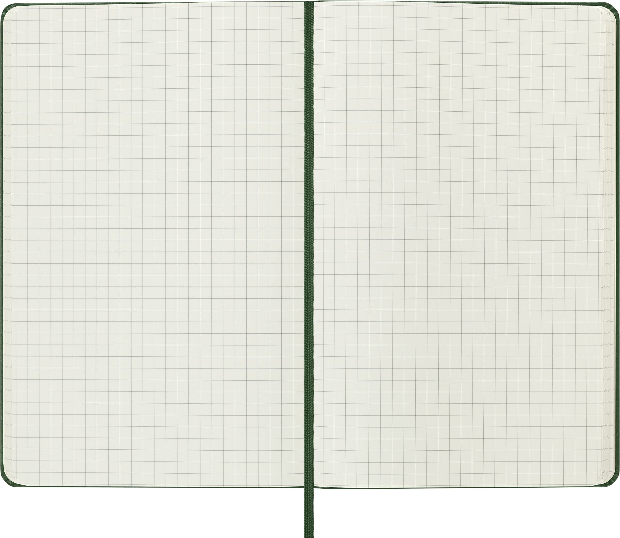 Moleskine - Carnet de Notes Classique Papier à Grille de Pointillés - Journal Couverture Rigide et Fermeture par Elastique - Couleur Vert Myrte - Taille Grand Format 13 x 21 cm - 240 Pages