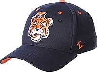 Vista 18 de ZHATS NCAA Vault - Sombrero elástico ajustado para hombre