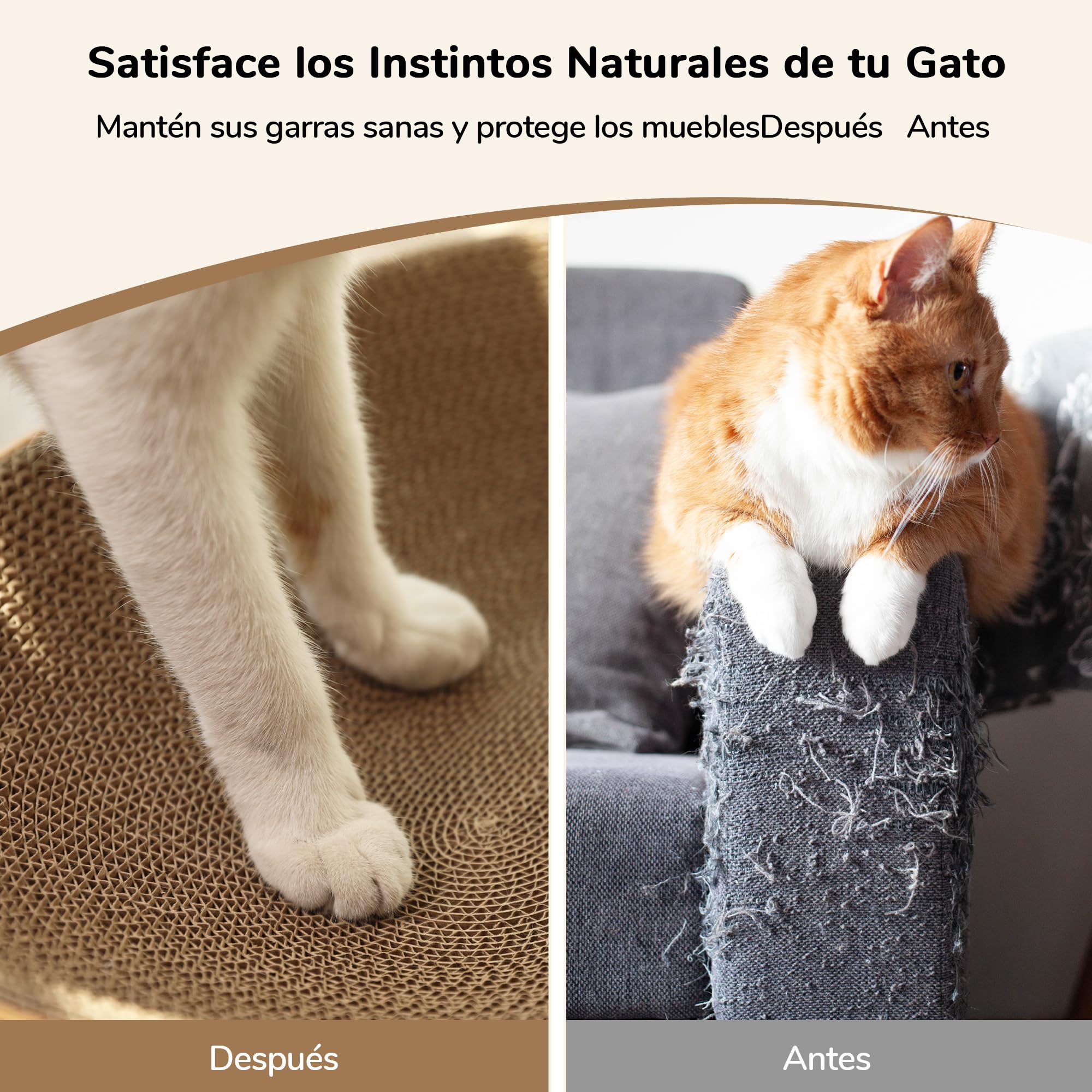 FUKUMARU Tablero Rascador Ovalado para Gatos en Cartón con Patrón de Vetas de Madera - Protege Sus Muebles para Rascar y Descansar