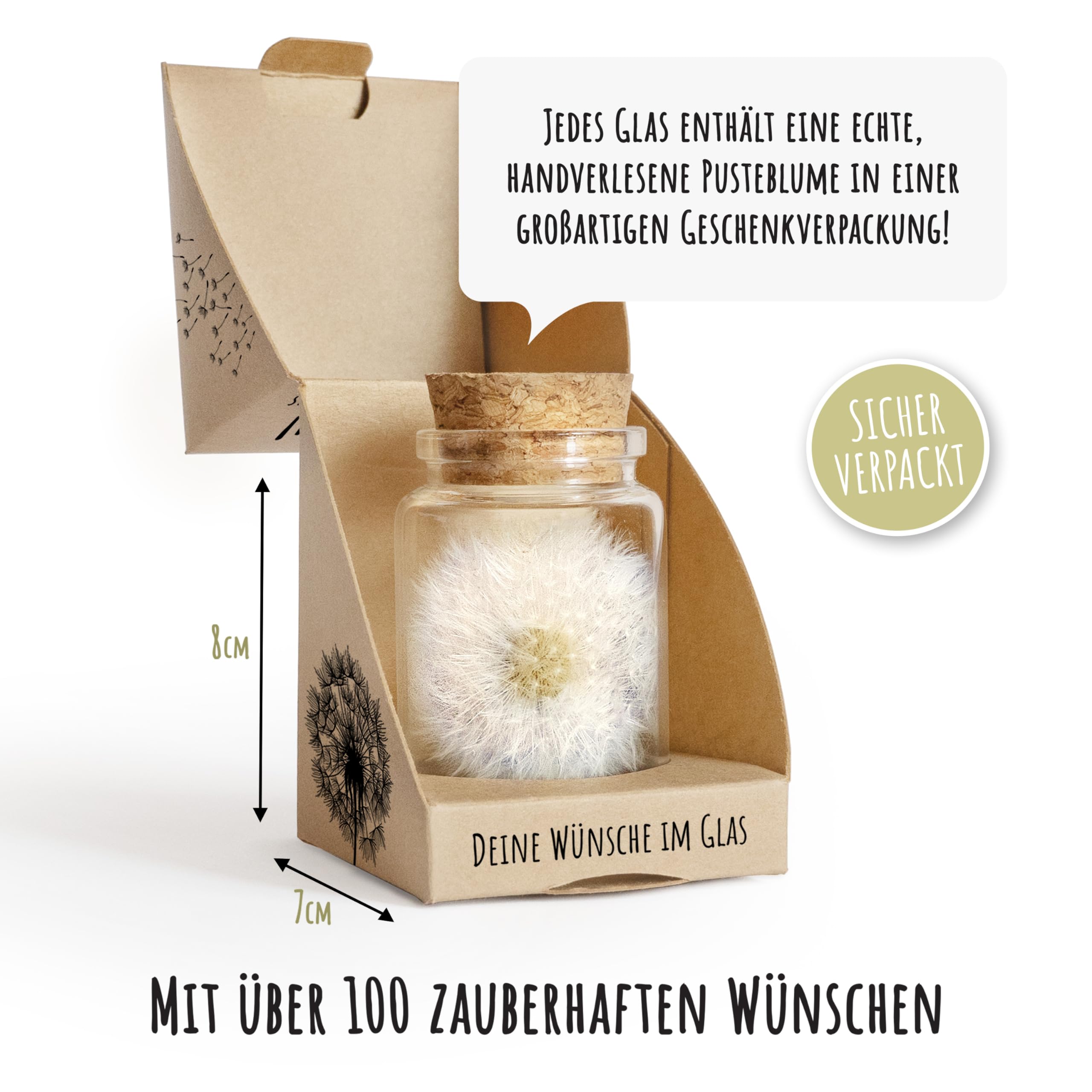 Bolson Wunscherfüller - 10x echte Pusteblume im Glas mit Geschenkbox - Wunschblume für deine Wünsche - handgefertigt in Deutschland - perfekte Geschenkidee für Geburtstag, Hochzeit, Abschluss