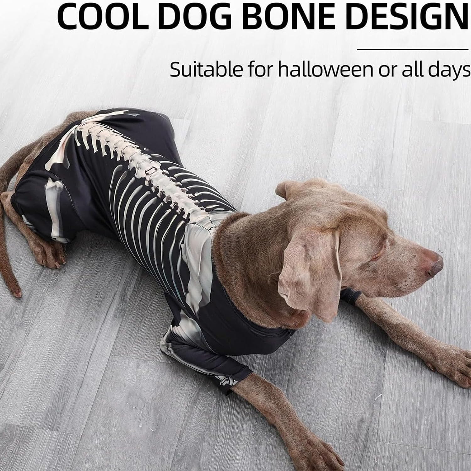 Junchl Dog Halloween Costume,Funny Mummy Skeleton Pet Outfits for Halloween Dress Up Party Pet Carnival Cosplay,Halloween Costumes for Cats Small Medium Large Dogs (3XL)