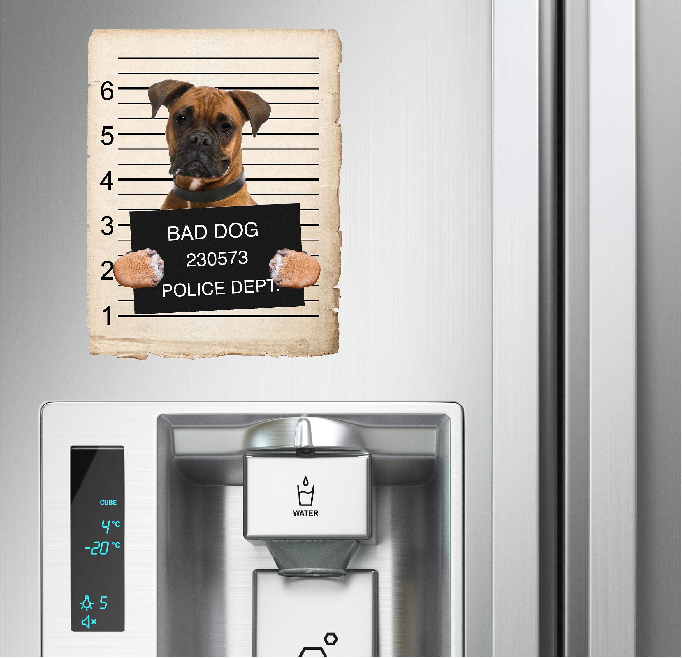 Boxer Dog Mugshot Bad Dog Car Bumper Magnet, Magnetic for Refrigerator, Decorative Fridge, Office, Whiteboard, Kitchen, Locker Waterproof Decor, Family & Friends, 4x7 in