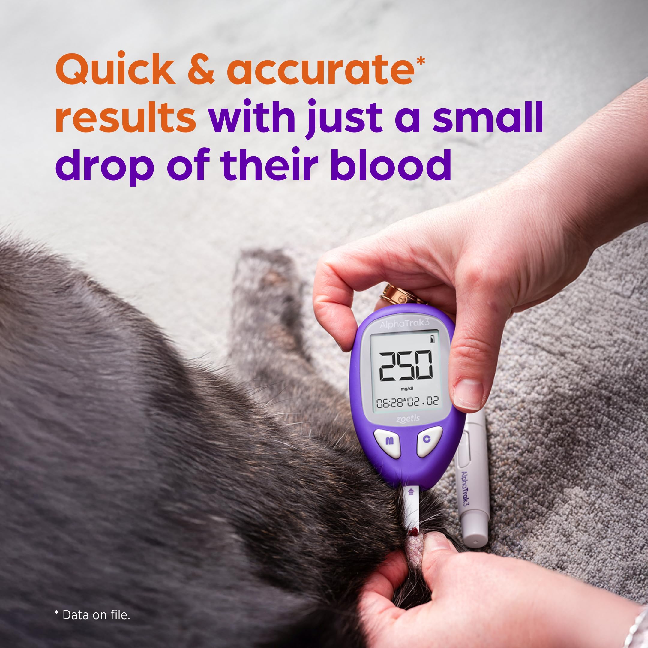 Amazon.com: AlphaTrak 3 Test Strips for Use with AT3 Blood Glucose