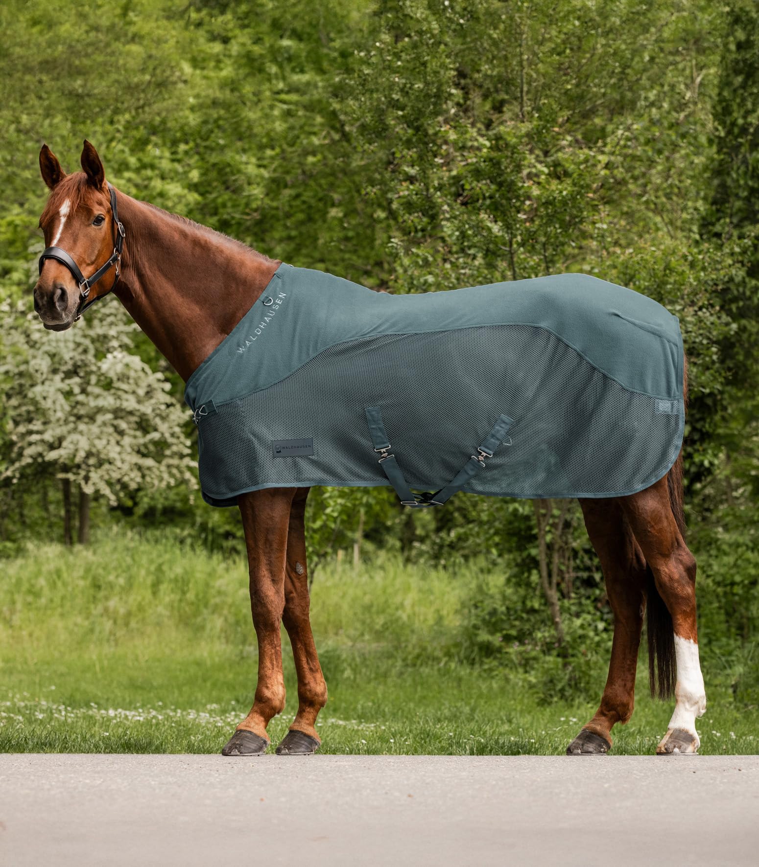 Waldhausen Fleece/Fliegendecke Comfort, piniengrün, 145 cm