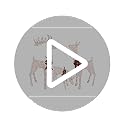 3-Piece White Fabric Reindeer Family - Lighted Deer Set - 210 Lights 52" Buck 44" Doe 28" Fawn - Large Deer Family for Indoor or Outdoor Christmas Decorations Yard Art