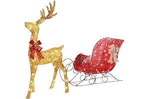 HOYECHI Light Up Christmas Decor Deer & Sleigh 2 Pcs