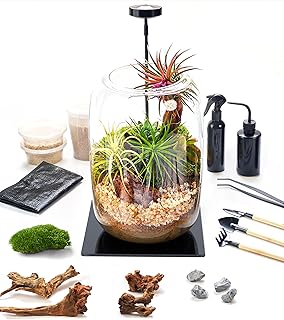 Terrarium Kit with Grow Light – 24-Piece DIY Glass Terrarium Set with To...