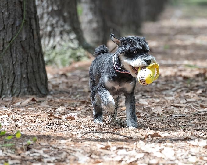 Juguete para Perro Mordible Sonoro 3 Piezas Gyapet miniatura 4