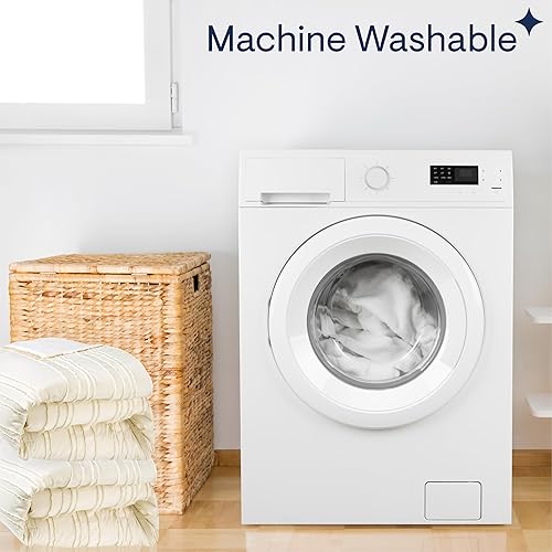 Miniatura 4 de Aeropostale Eloise - Juego de edredón de 2 piezas para dormitorio y funda a juego, individual, marfil