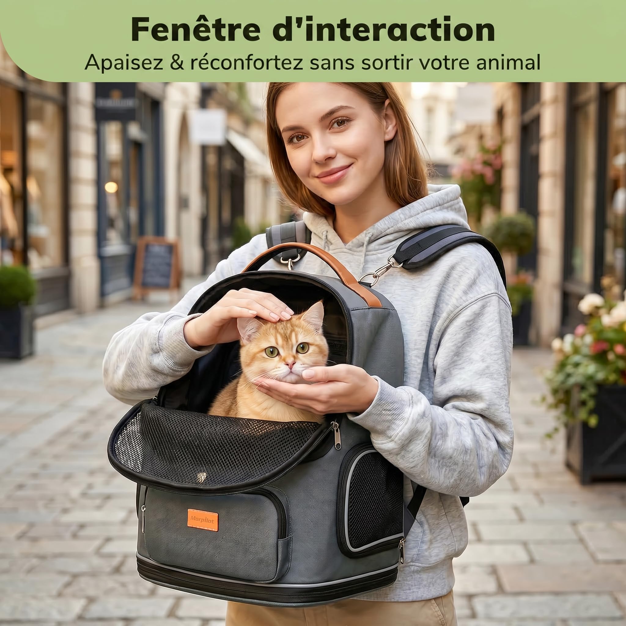 Morpilot Sac Transport 102% Extensible pour Chien avec Peluche Amovible Et Laisse De Sécurité Intérieure Sac à Dos Pliable pour Chat pour Train/Voiture/Voyage