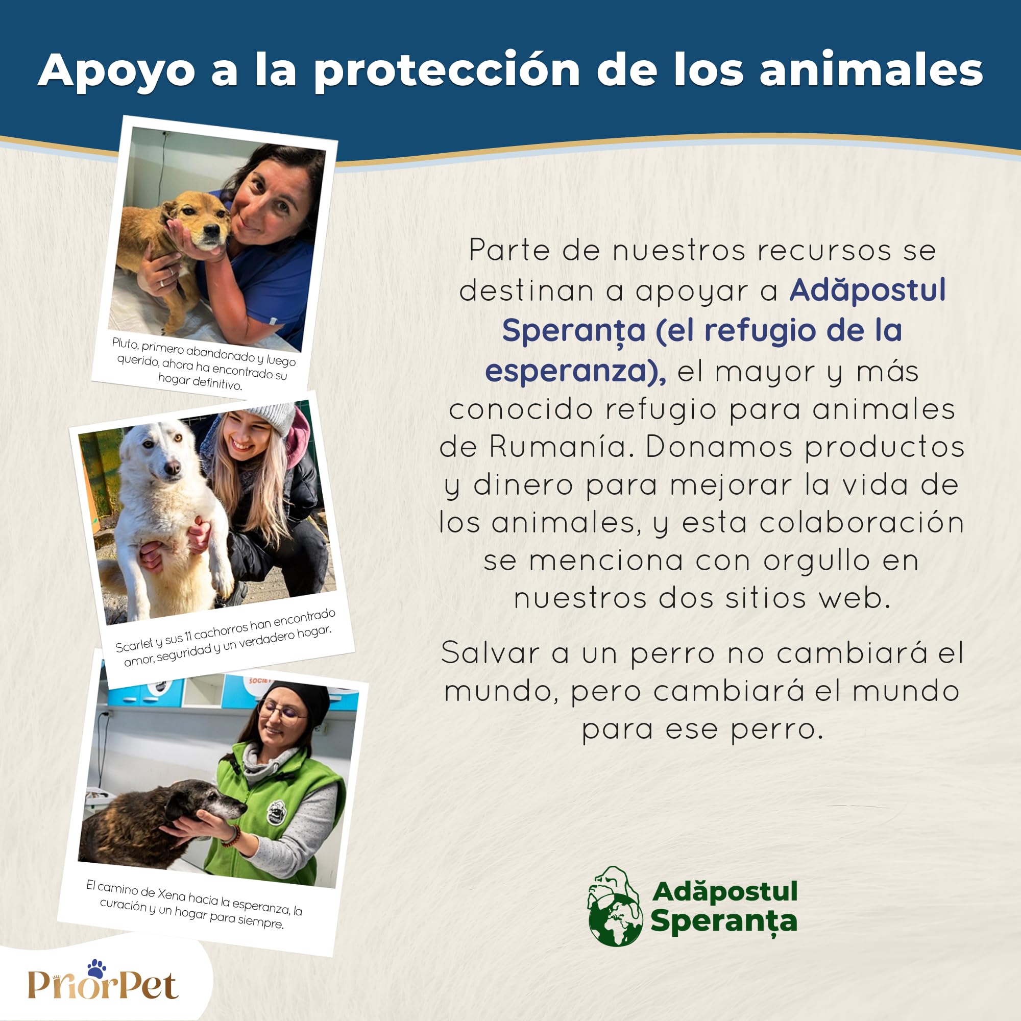 Rampa para Perros pequeños o Grandes - Ajustable 18-53 cm - para Cama y sofá - Madera de Abedul - La Plataforma se Conecta Perfectamente - Superficie Antideslizante - Natural