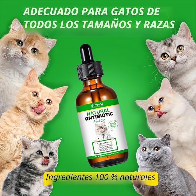 Foto 6 de 7 de Antibióticos naturales para gatos, antibióticos para gatos para alergias y alivio de la picazón
