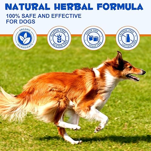 Miniatura 5 de Glucosamina para perros, suplemento líquido para articulaciones para perros, soportes para cadera y articulaciones para perros, suplemento para