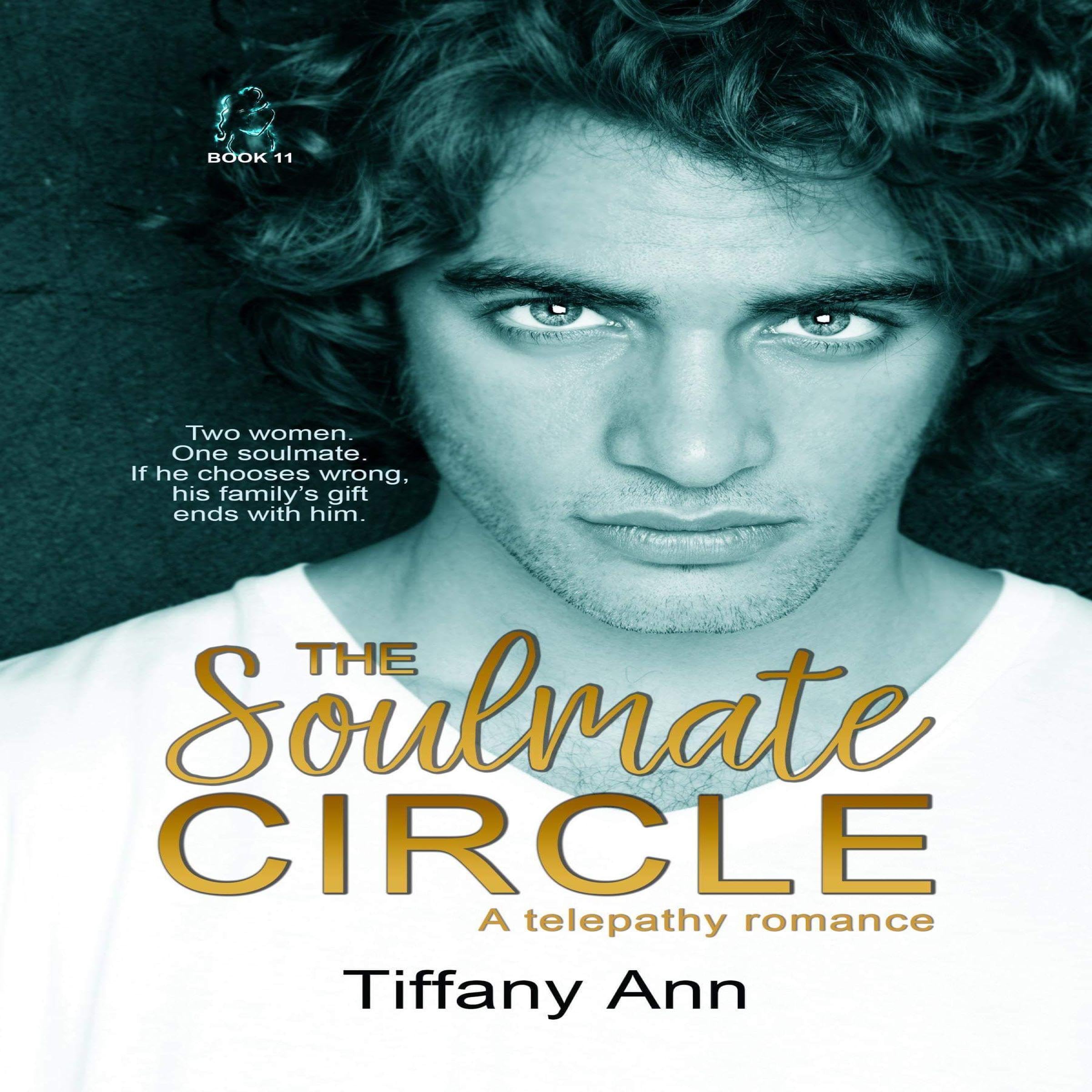 Cover art for The Soulmate Circle