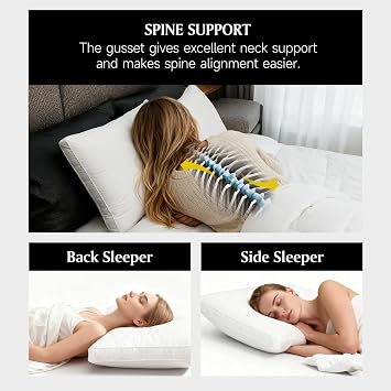Beautyrest Goose Feather Down Fiber Gusseted Pillows,Queen/Jumbo Size of 2 | Firm Hotel Pillow Luxury Bed Pillows, 100% Cotton Cover