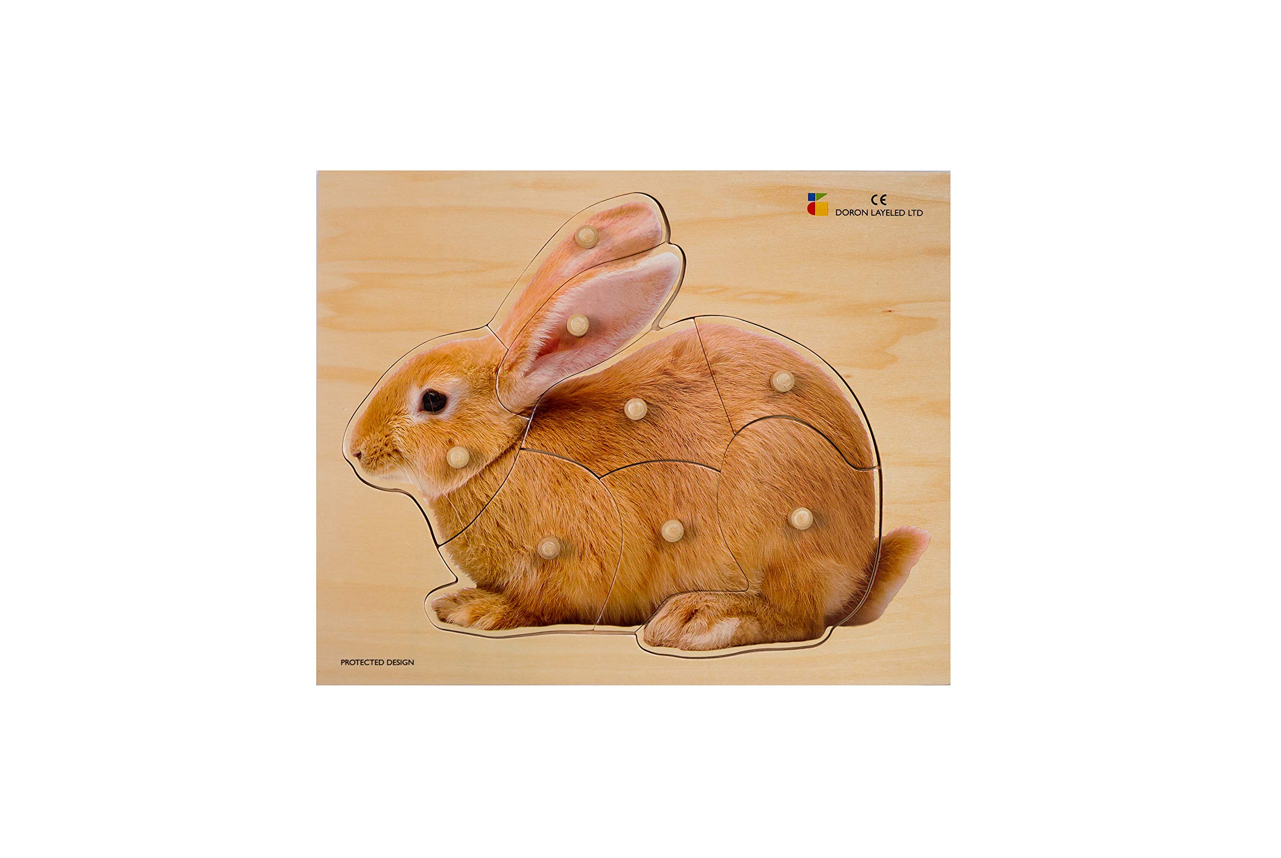 Doron Layeled E72511480, Large Photographic Wooden Peg Puzzle Bunny, Various