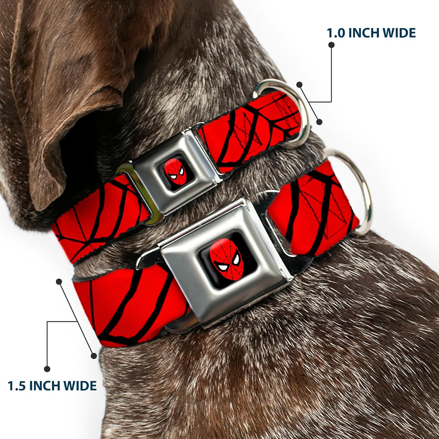 Buckle-Down Seatbelt Buckle Dog Collar - Spiderweb Red/Black - 1.5" Wide - Fits 18-32" Neck - Large