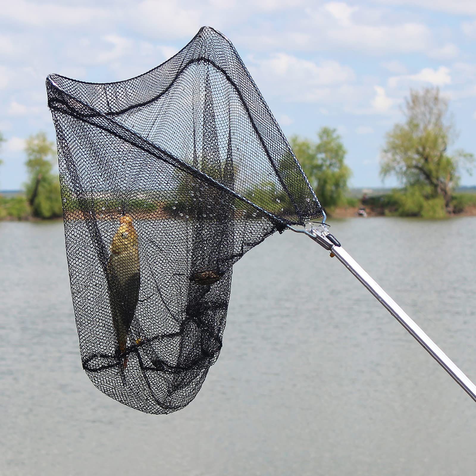 Aicharynic Retino da Pesca: 50 cm, Telescopico, Pieghevole, per Crap, Trote, Barca e Oceano, Nero, Alluminio e Nylon