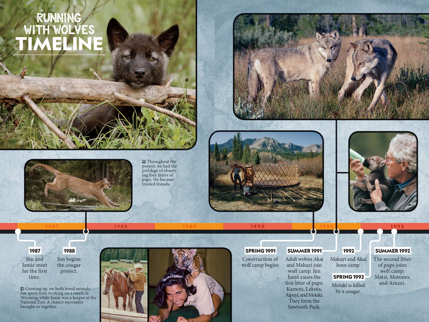 Running with Wolves: Our Story of Life with the Sawtooth Pack