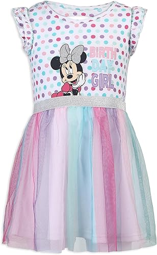 Disney Minnie Mouse - Conjunto de vestido y bragas de tutú de cumpleaños para niñas y bebés multicolor Minnie Mouse