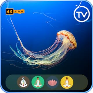 Soothing Jellyfish Aquarium Symphony: Relaxing Music for Sleep, Meditation, and Focus For Fire TV No Ads - Screensaver