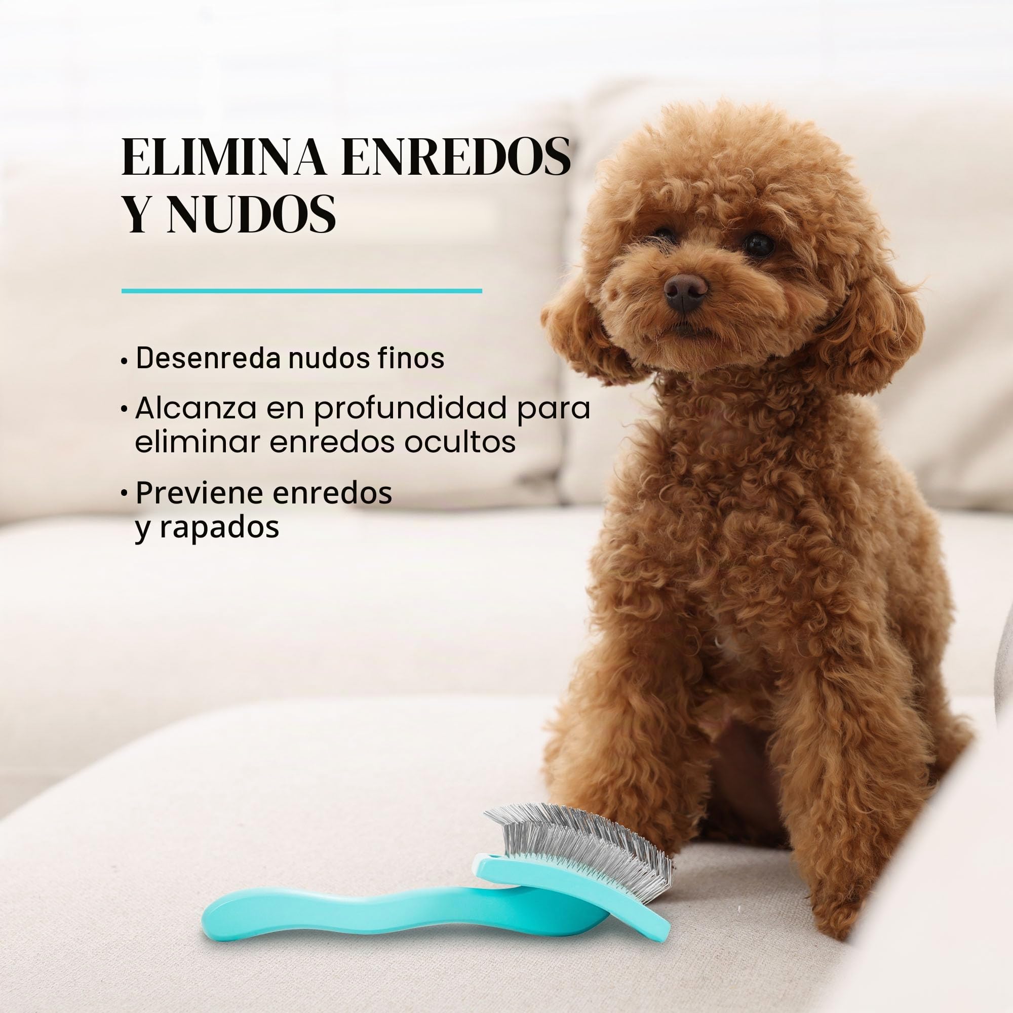 Chris Christensen Big G - Cepillo para perros (Goldendoodles, labradoodles, caniches), novio como un profesional, estilo desenredante de pelusas, ahorra tiempo y energía, verde azulado, mediano