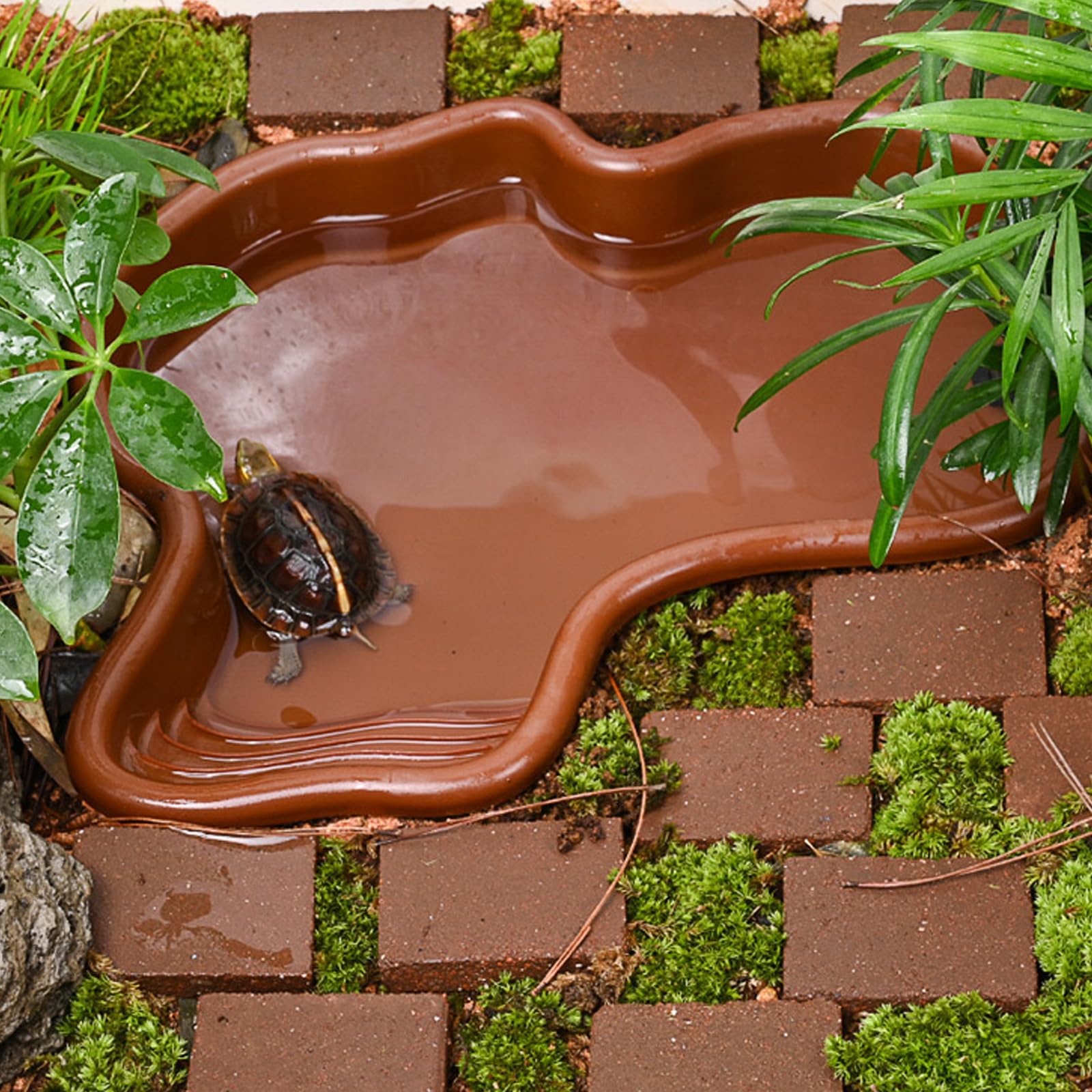 Baignoire pour Reptiles Piscine pour Reptiles Grande Piscine pour Tortue Terrestre avec Un Absorbeur d'eau Manuel pour Les Reptiles Tels Que Tortues, Lézards, Serpents