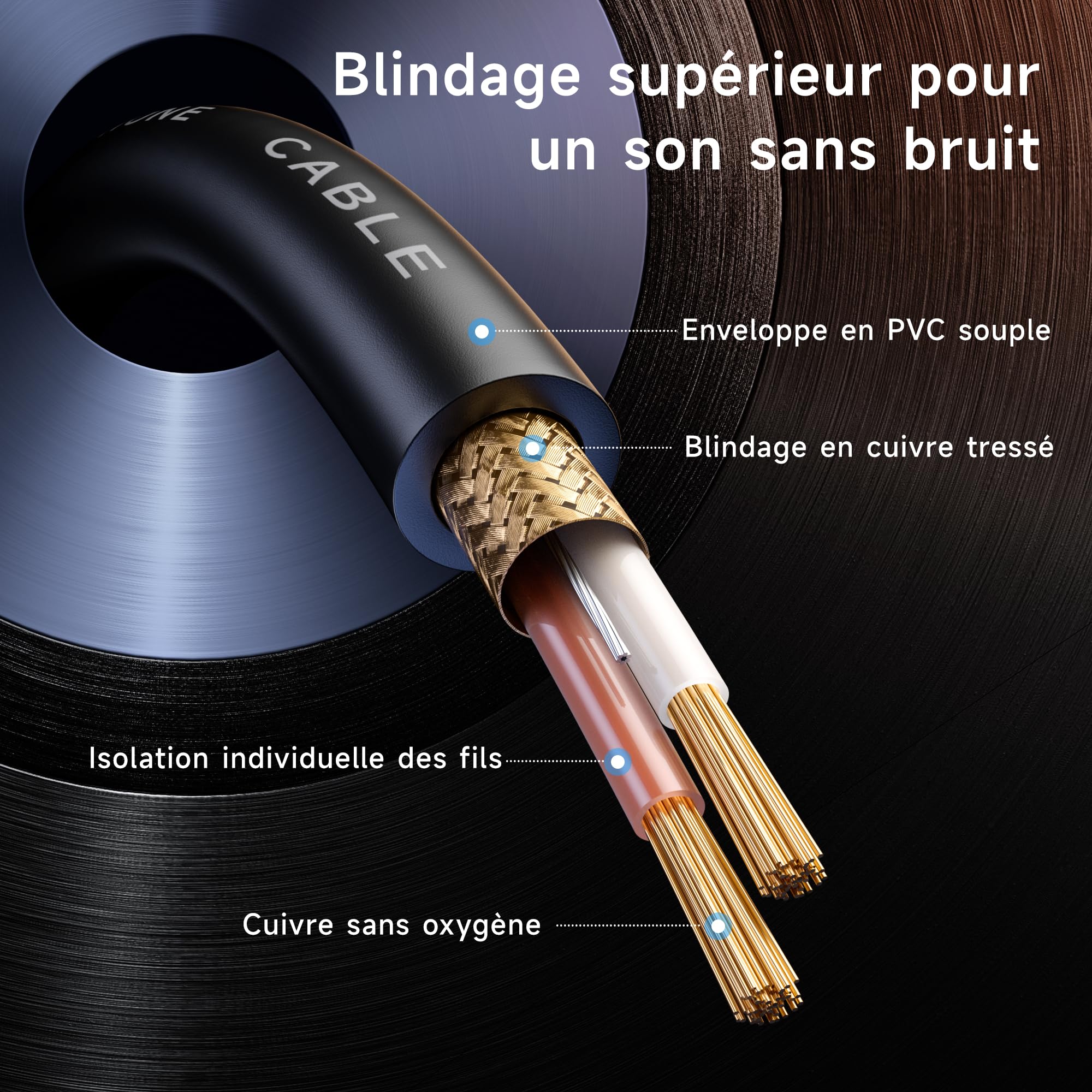 Cable Matters Câble Répartiteur XLR Symétrique, Câble en Y XLR Mâle, 1m | Câble XLR en Y, répartiteur de microphone 1 mâle vers 2 prises femelles, répartiteur de microphone