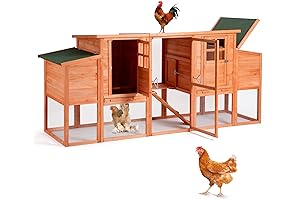 Spacious Wooden Coop for Up to 6 Chickens