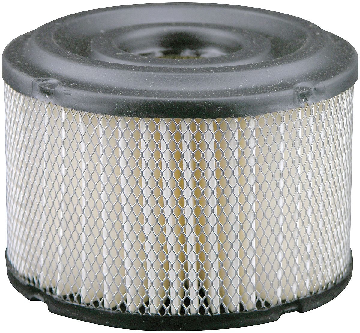 Baldwin Filter PA4458 Luftelement – Ersatzfilter Für Dodge 2500/3500 (2003–2007), Made In Mexico