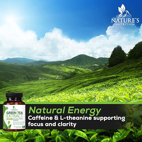 Miniatura 7 de Extracto de té verde 98 EGCG estandarizado  3 veces de fuerza para energía natural  Auxiliar cardíaco con polifenoles  cafeína suave fabricado en