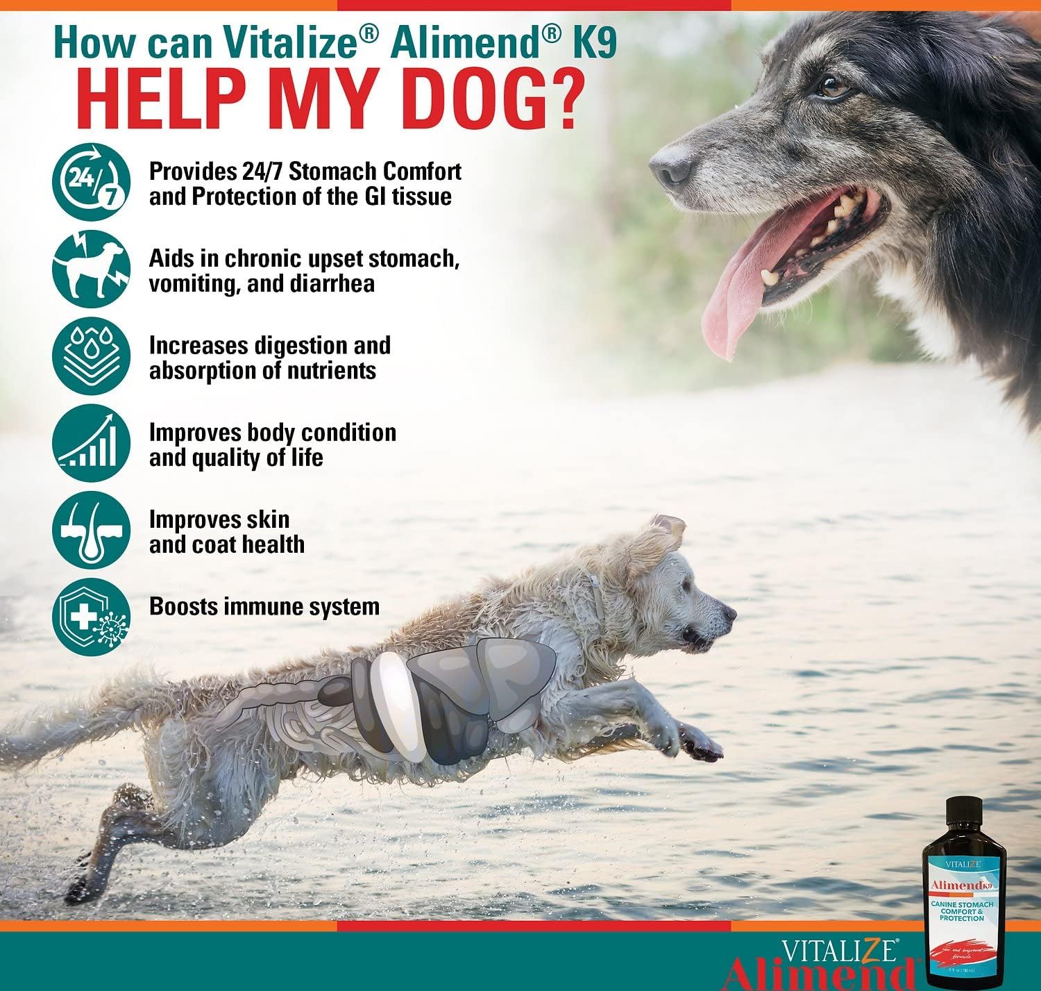 Vitalize Alimend K9 - Dog Upset Stomach Relief for Nausea, Vomiting & Diarrhea - 6 Oz