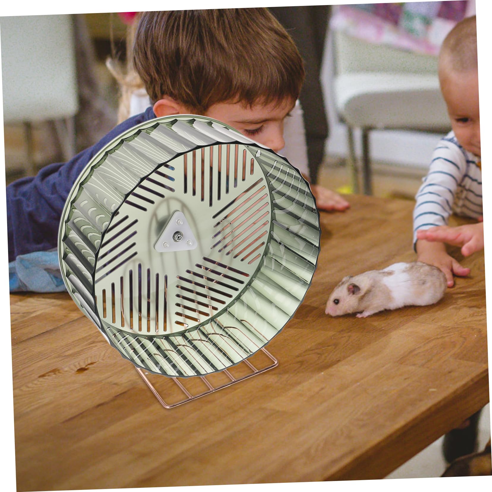 VICASKY Roue Exercice Stable pour Hamster Roue Silencieuse pour Chinchilla Accessoires pour Petits Animaux De Compagnie