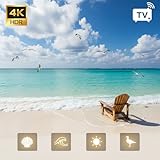 Beachfront Waves 4K – Gentle Seagull Ambience Smart TV Background Loop