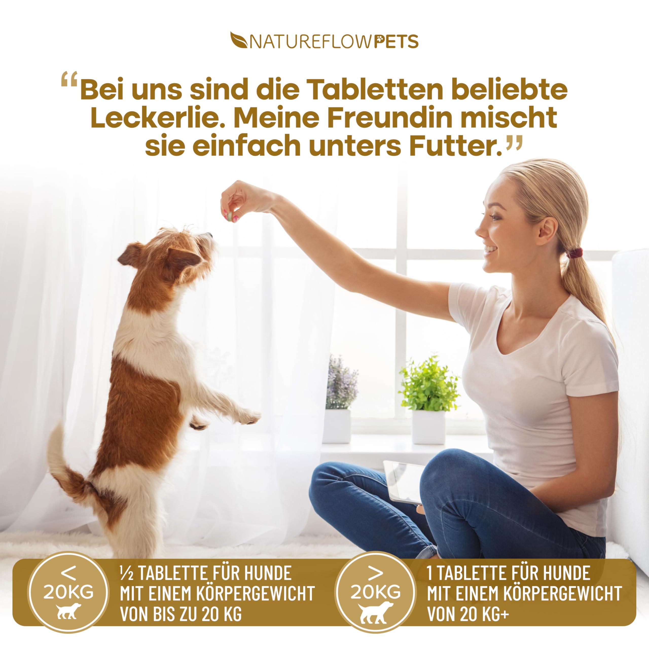 Gelenktabletten Hunde – Test SEHR GUT Made in Germany mit Grünlippmuschel, MSM und Teufelskralle - Keine Kapseln, hohe Akzeptanz Gelenktabletten Hund - 100 Stück