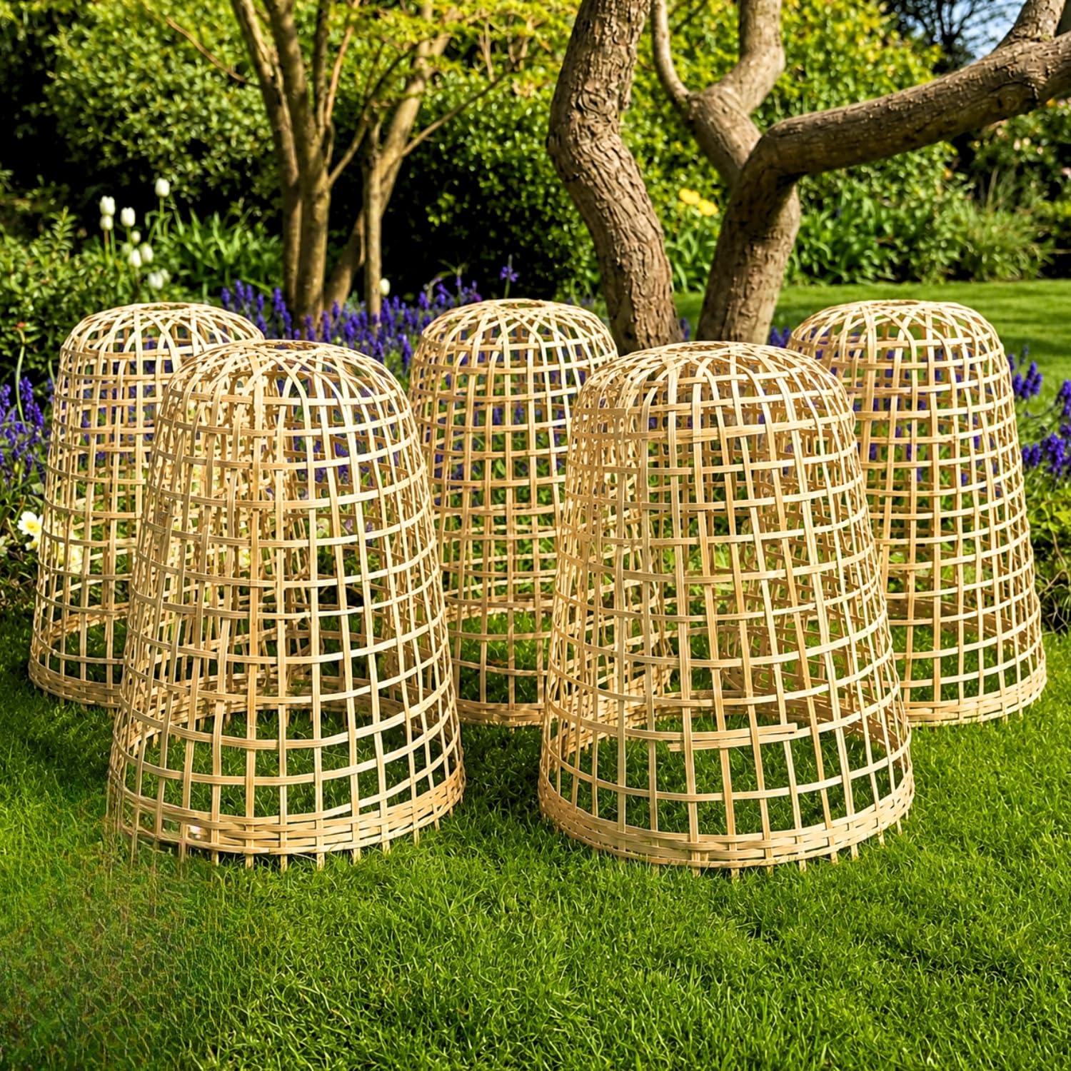 GardenSkill Bamboo Bell Cloche for Garden | Outdoor Plant Protection Cover & Decorative Border Feature | Frost & Pest Guard for Flowers Fruit Vegetables Shrubs (50cm x 60cm H, Pack 5)