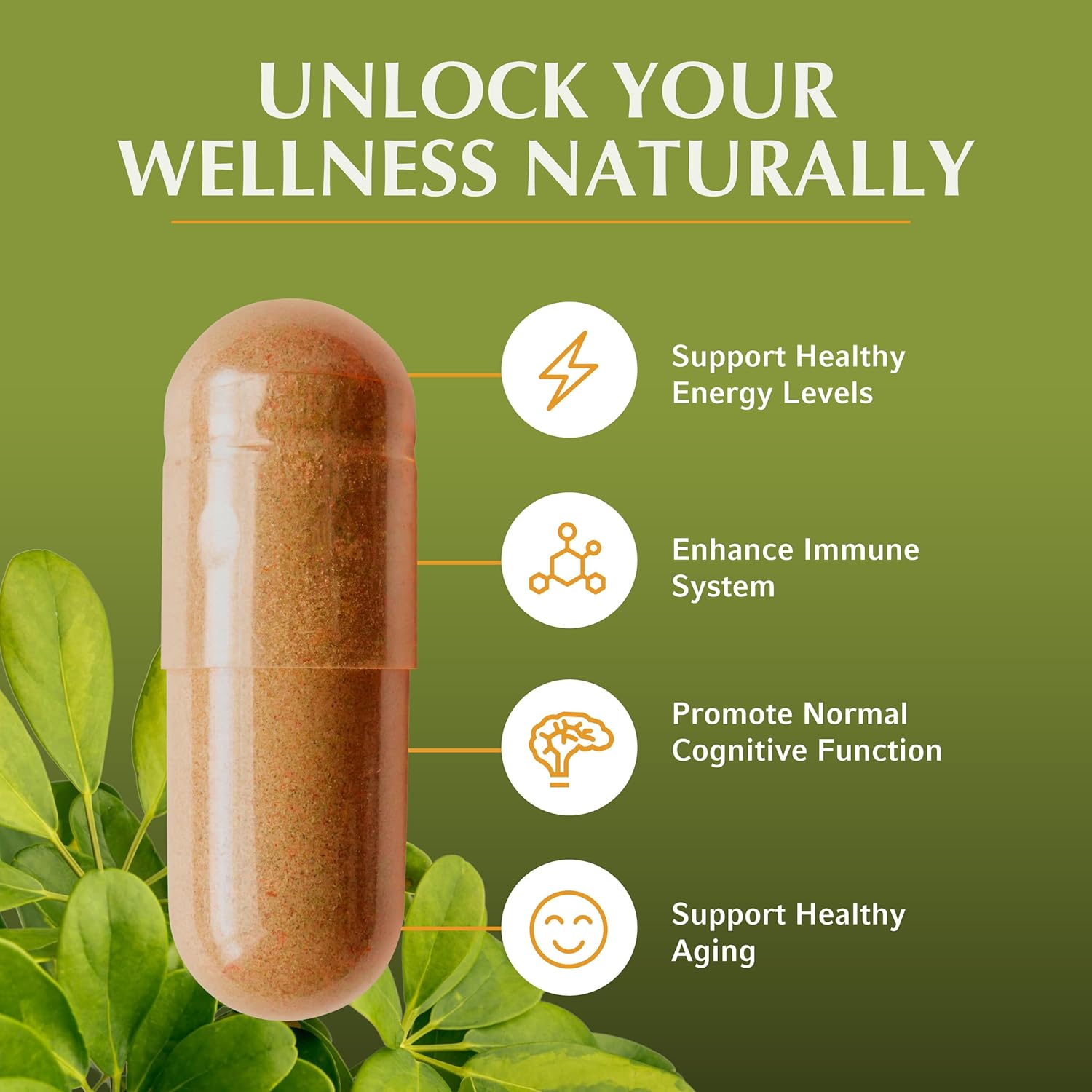 Jiva Botanicals Premium Shilajit Supplement 700 mg - Shilajit Capsules Extract with Minerals, Fulvic/Humic Acid for Immune Support & Nomal Digestive Health - 120 Vegan Capsule (Pack of 1) - Image 2