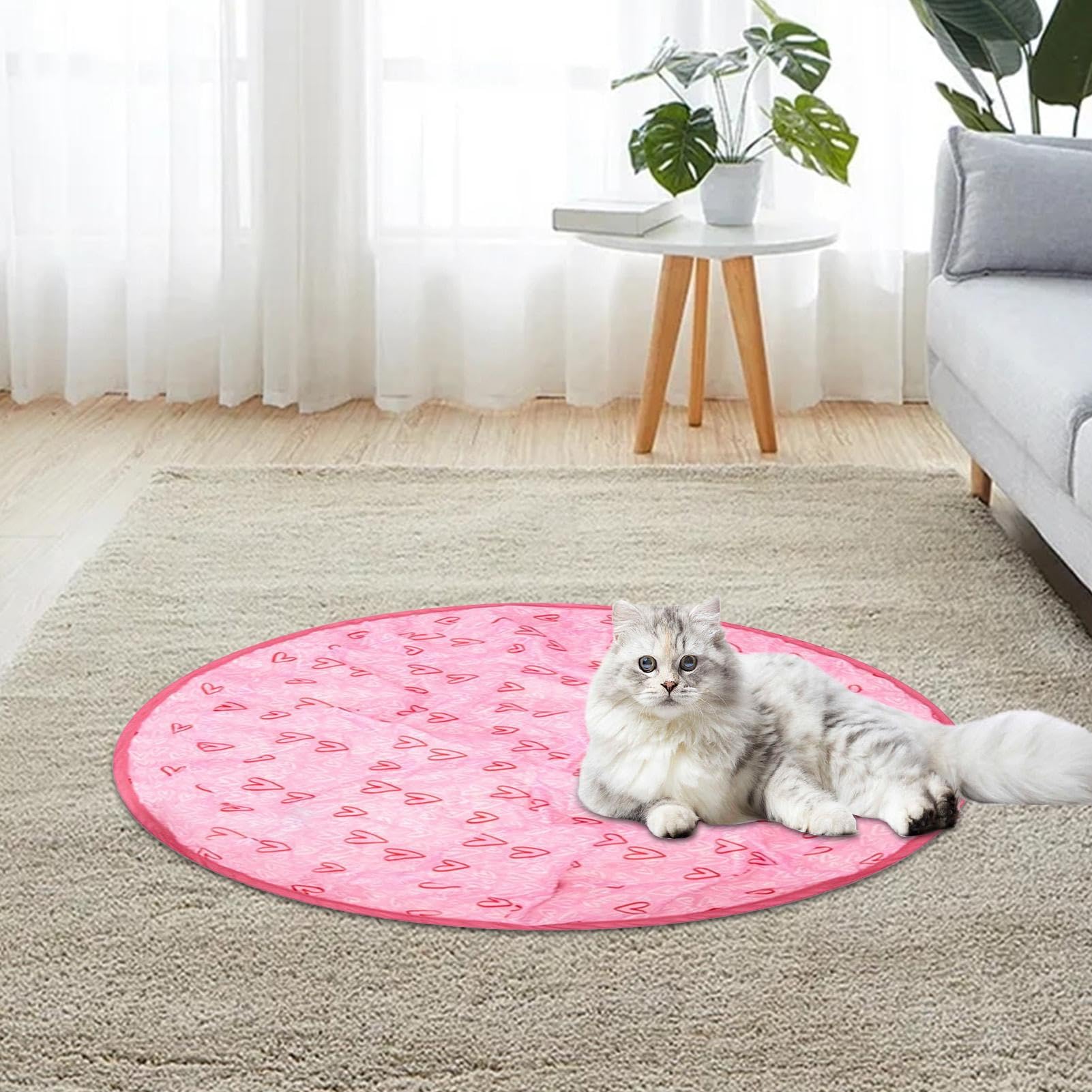 Amazon.co.jp: ハンティングカバー猫おもちゃ、インタラクティブ狩猟猫