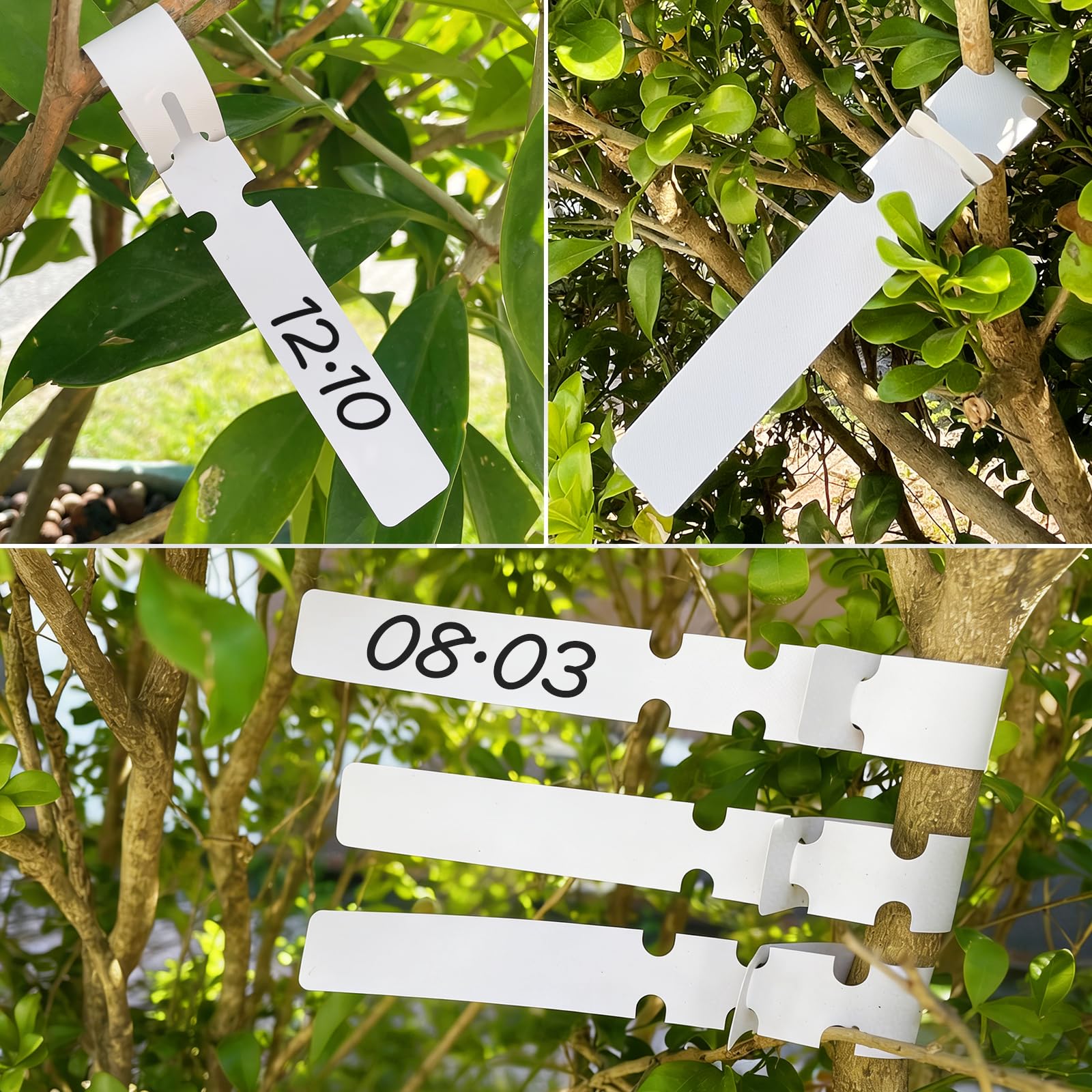 400 Piezas Etiquetas Plantas de Plástico, Colgantes Etiqueta Jardinería Impermeables, Etiqueta Jardinería Impermeables, 21 * 2 cm, para Jardín, para Guardería y Huerto, Blanco