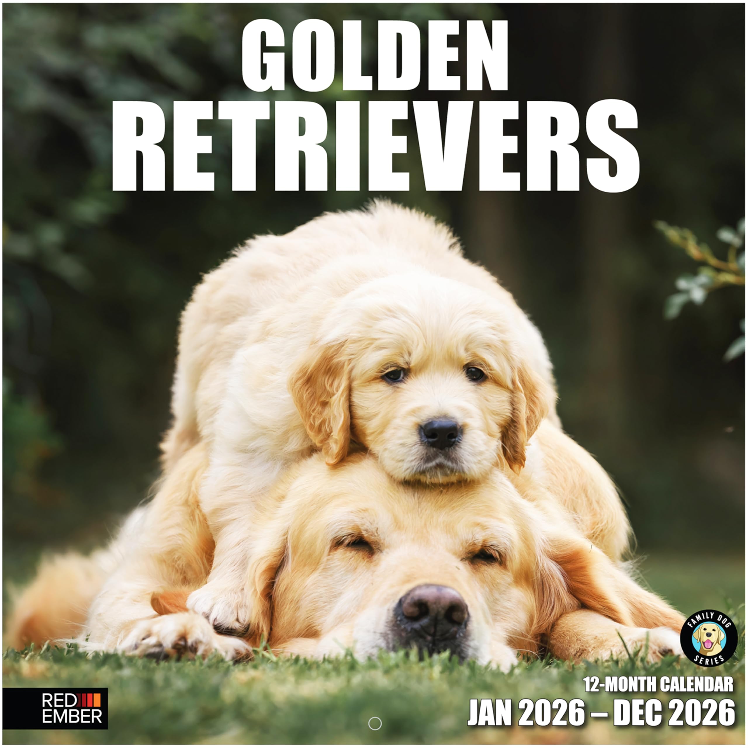 RED EMBER Golden Retrievers 2026 Wall Calendar 12 Month | 12" x 24" Open | Thick &amp; Sturdy Paper | Holiday Gift | Cute Puppy Dog Calendar 2026