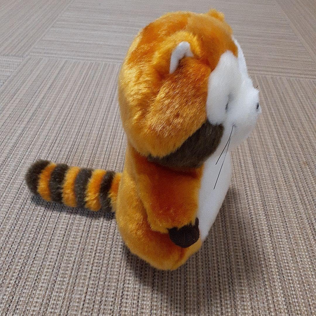 Amazon.co.jp: レアSekiguchi あらいぐま ラスカル ぬいぐるみ S