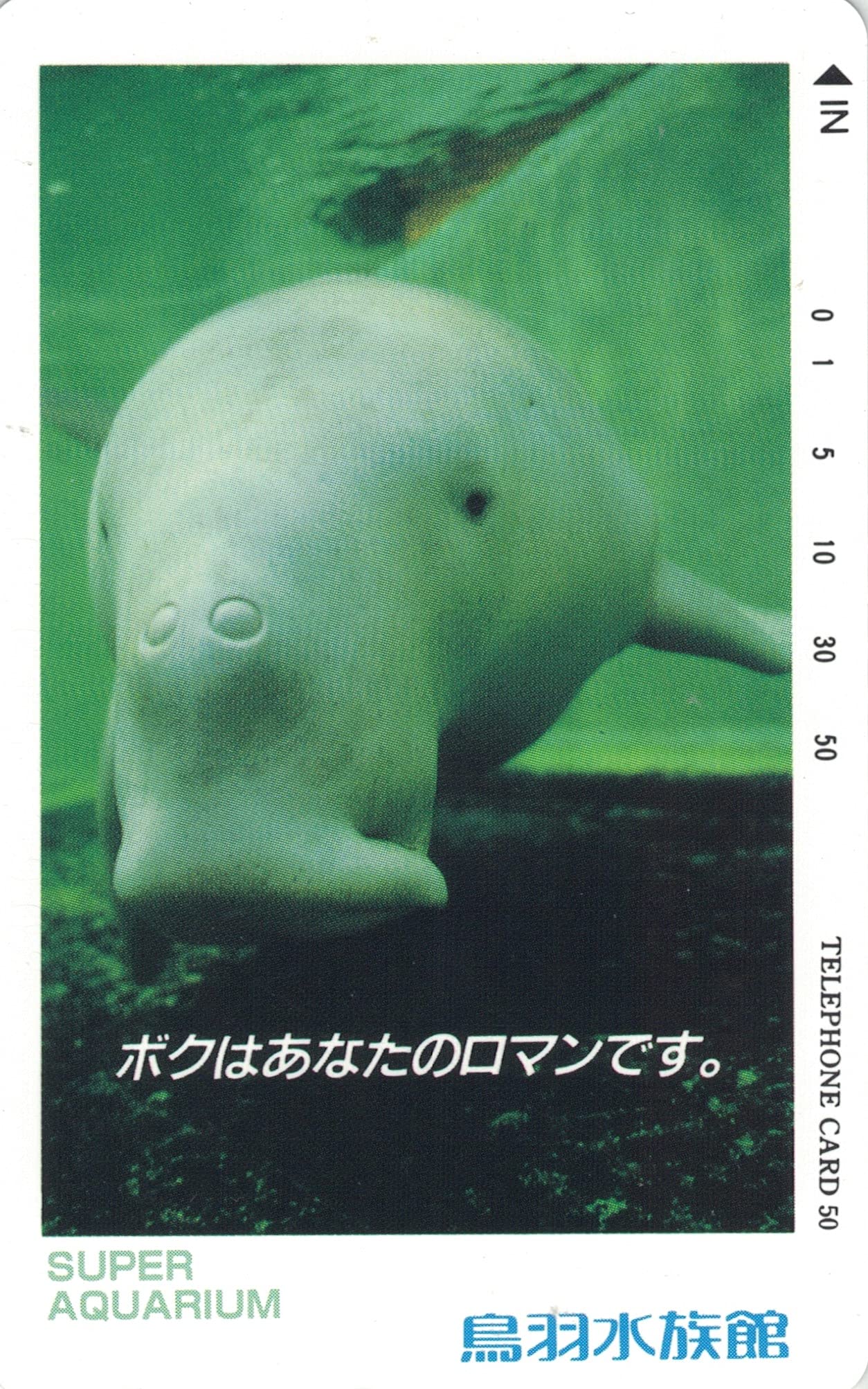 Amazon.co.jp: テレホンカード テレカ 鳥羽水族館 ジュゴン ボクは
