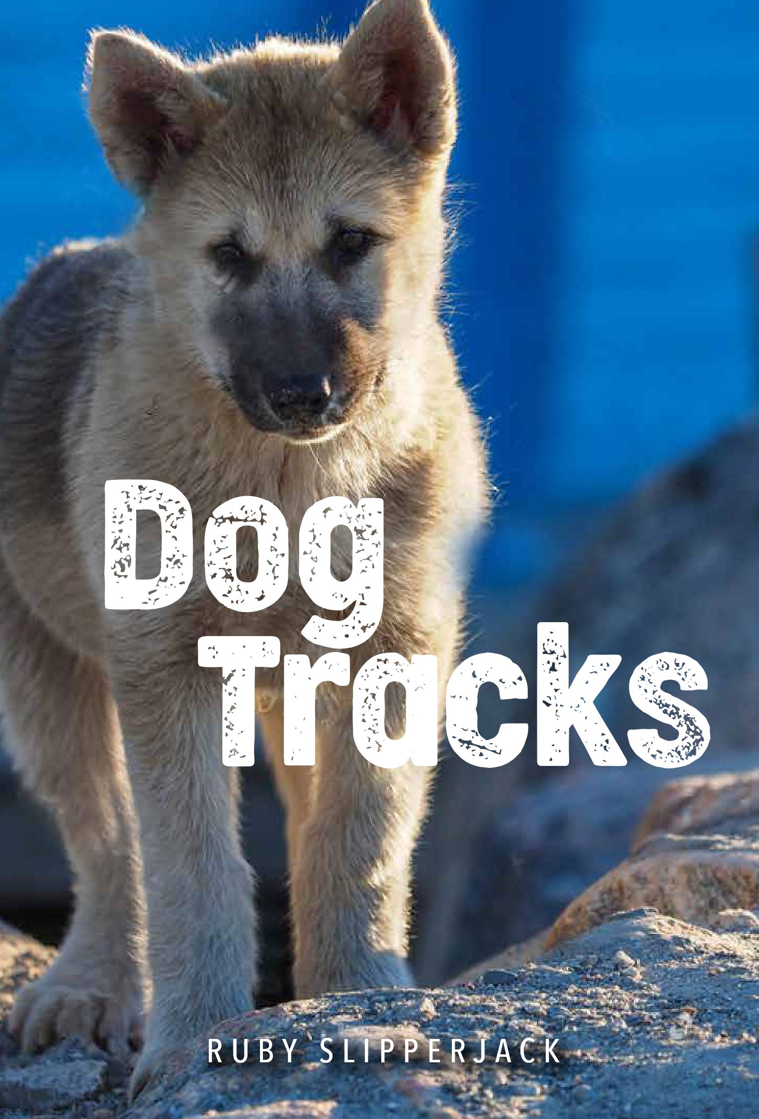 Buy Dog Tracks — BookShops.in