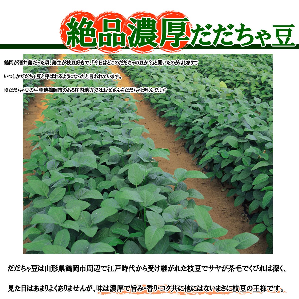 Amazon.co.jp: 山形県産 鶴岡 だだちゃ豆 (4キロ) : 食品・飲料・お酒