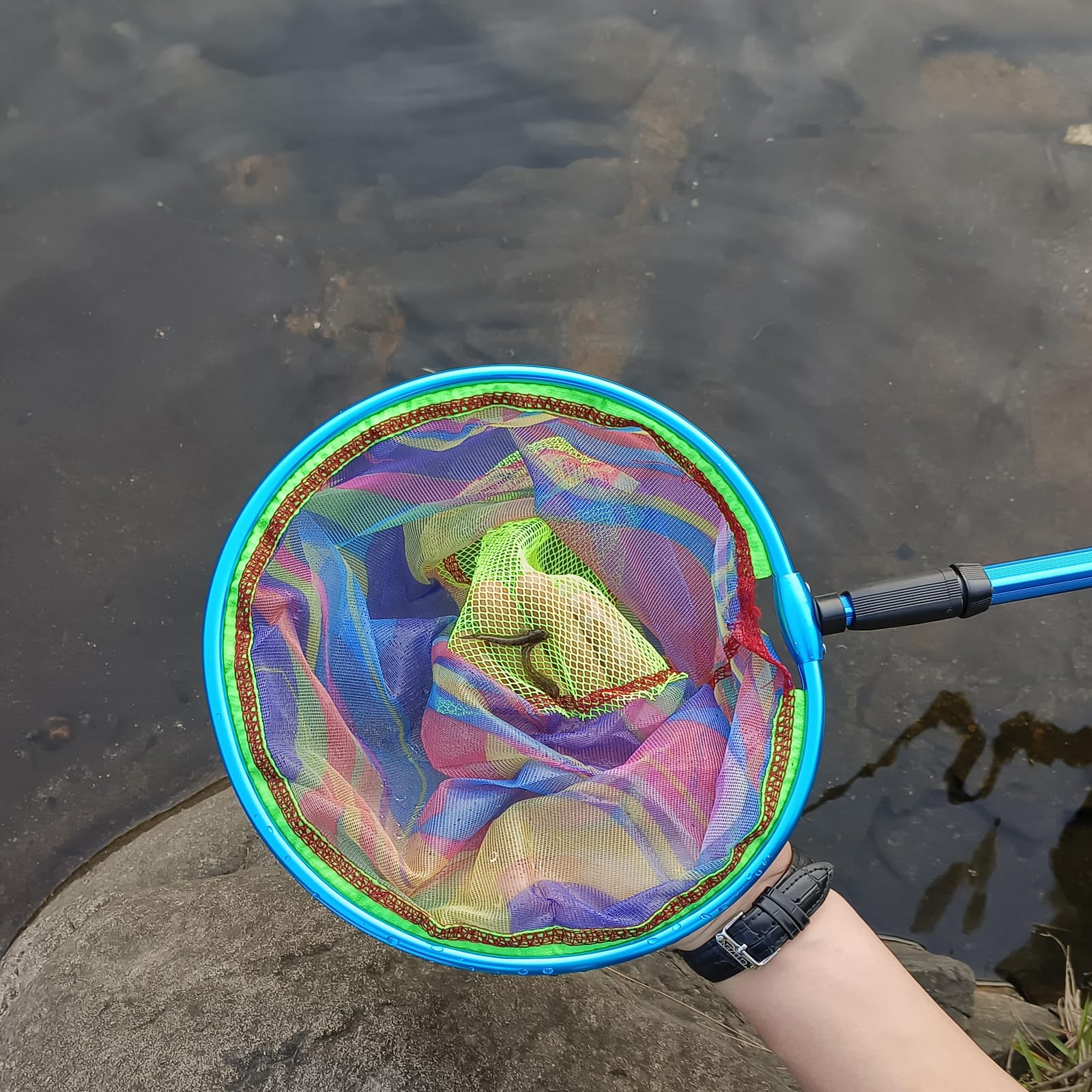 Retino da pesca retrattile, leggero, con manico in alluminio, reti da pesca per bambini, per catturare e rilasciare reti a farfalla