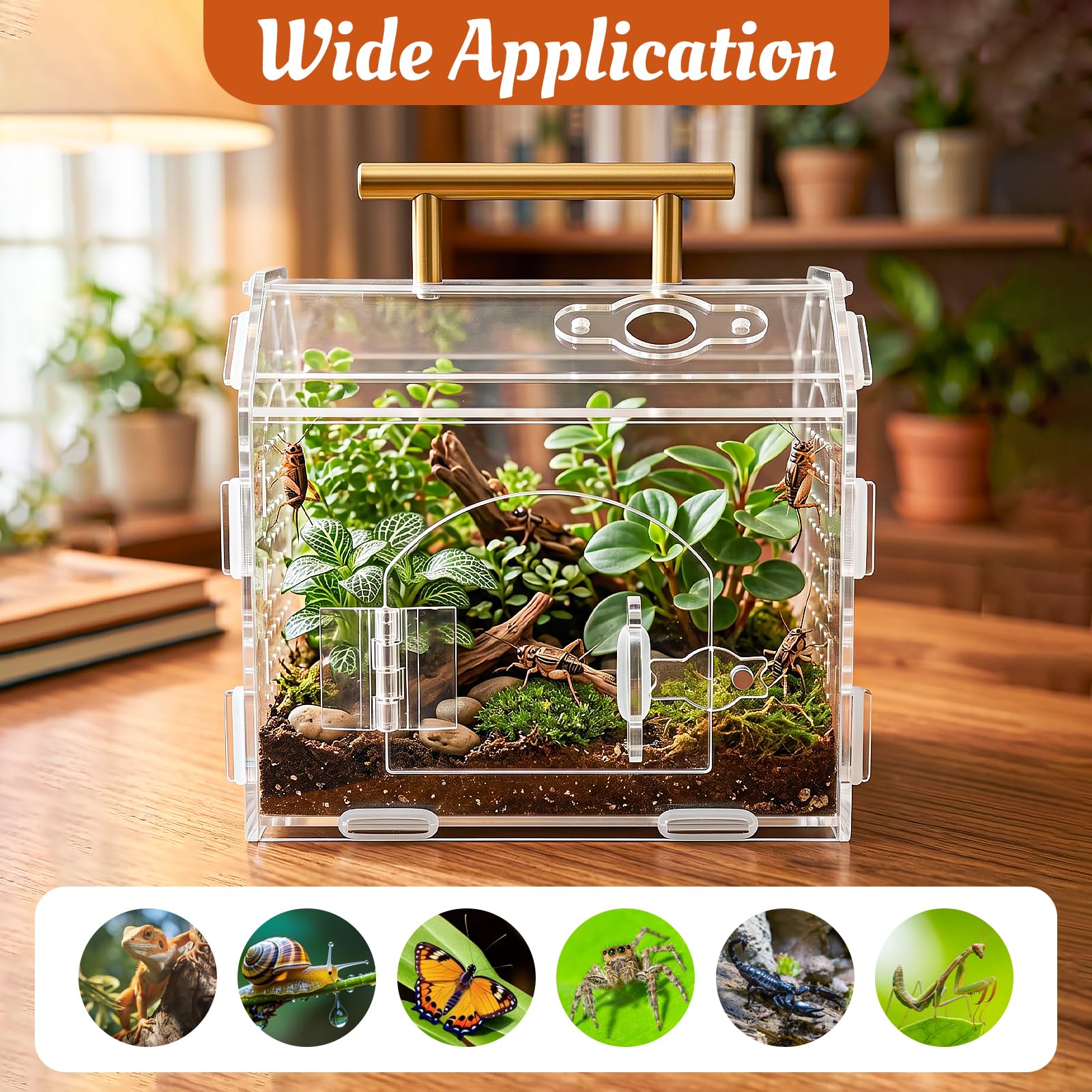 Terrarium dla gadów z akrylu, przezroczysta obudowa z otworami wentylacyjnymi i uchwytem, magnetyczne pudełko na karmienie dla ślimaków, owadów, ptaszników, tarantli, gekonów
