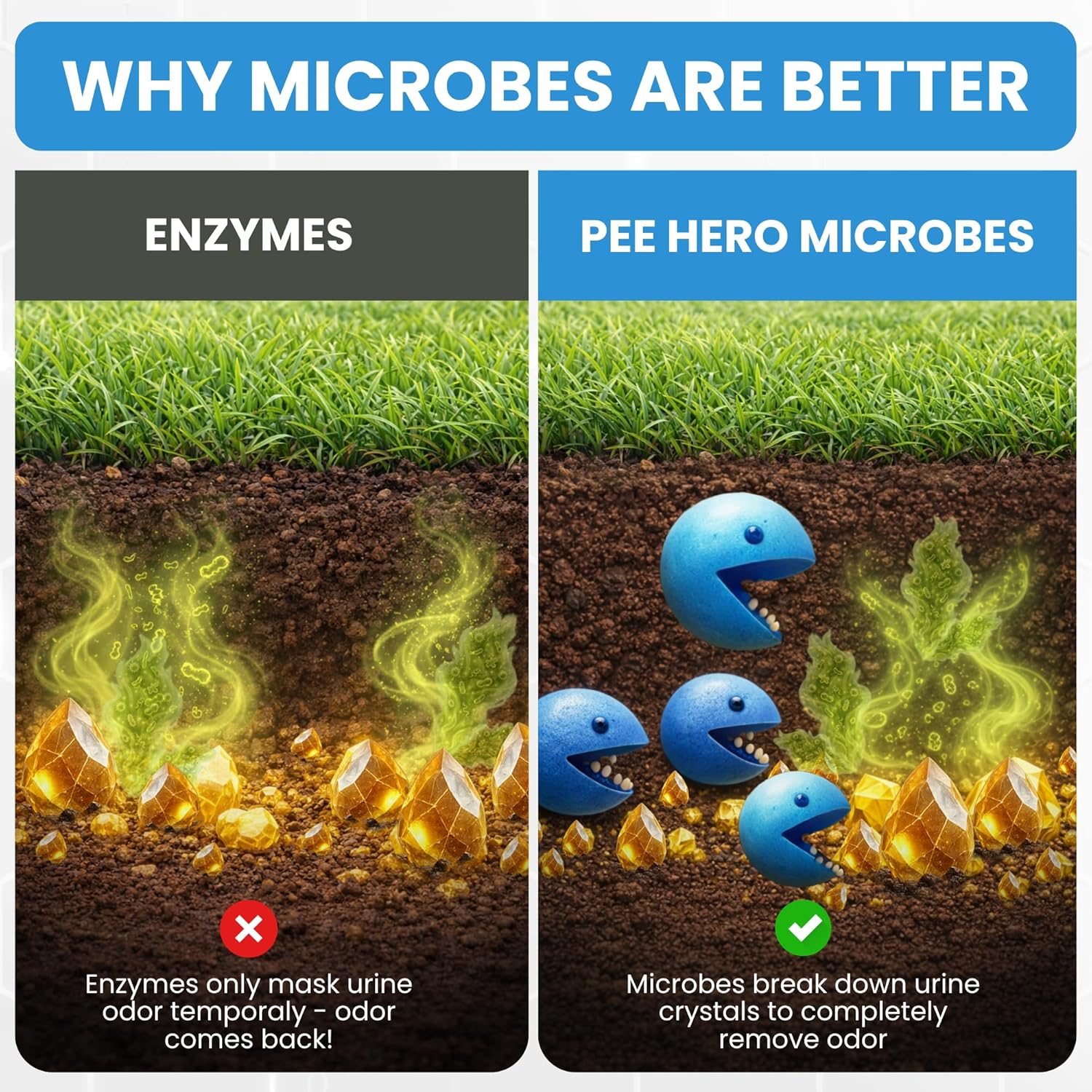 Pee Hero Dog Pee Cleaner 16 oz Concentrate (Makes 2 Gallons), Cat Urine Odor Eliminator - Dog Urine Odor Eliminator Concentrate, Turf Cleaner for Pet Urine Outdoor