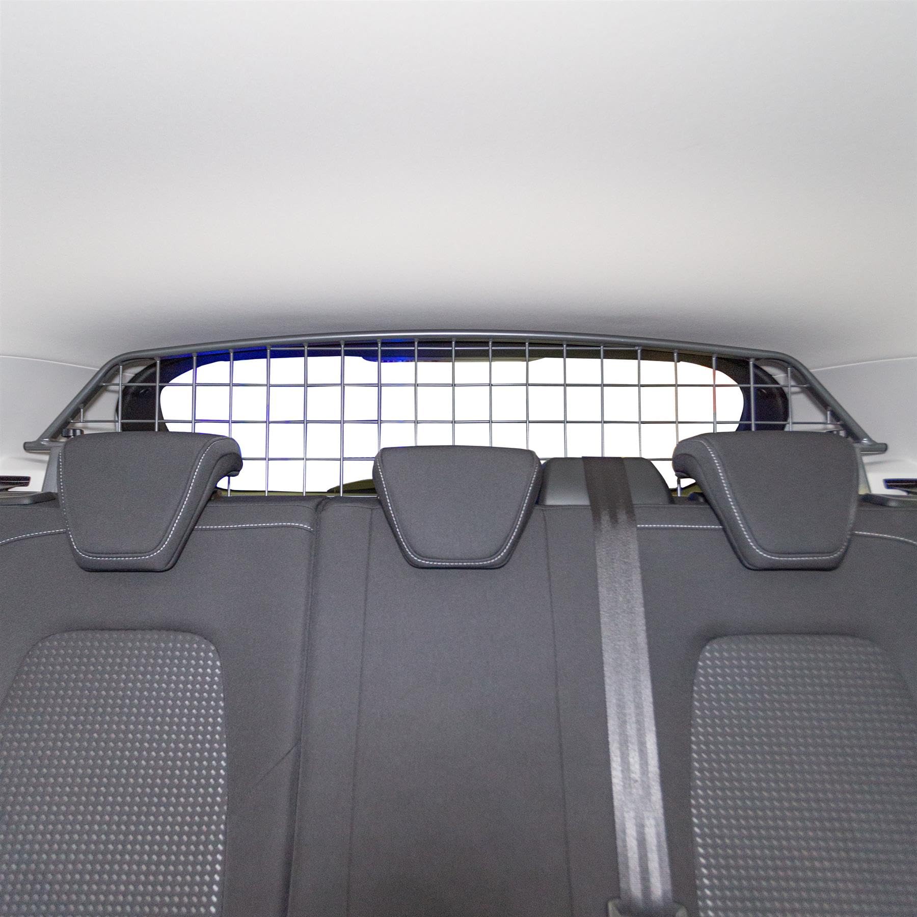 Travall Hundegitter Für Ford Focus Kombi (2011-2018) – Stabile Trennung, Kofferraumschutz, Einfach Montiert